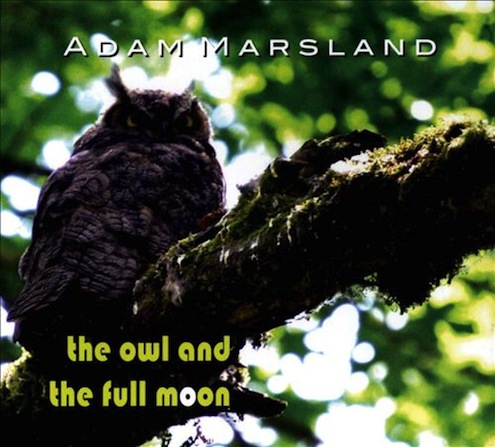 The Owl and the Full Moon