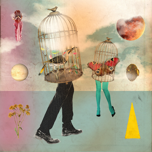 Birdcage Walk Single Cover